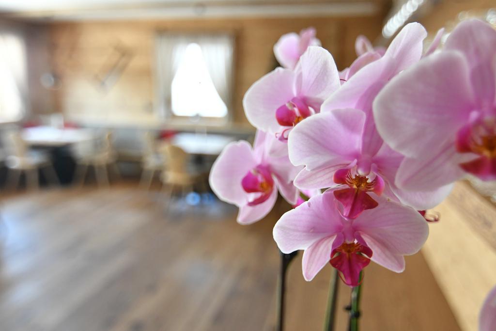 Hotel Kristall Maranza Bagian luar foto